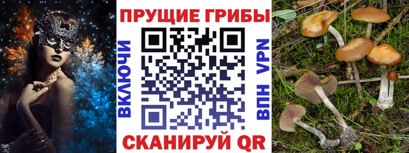 Псилоцибиновые грибы GOLDEN TEACHER  дарнет шоп  Горячеводский 